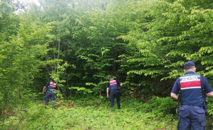 Kastamonu'da 15 gün önce kaybolan kişiyi arama çalışmaları sürüyor