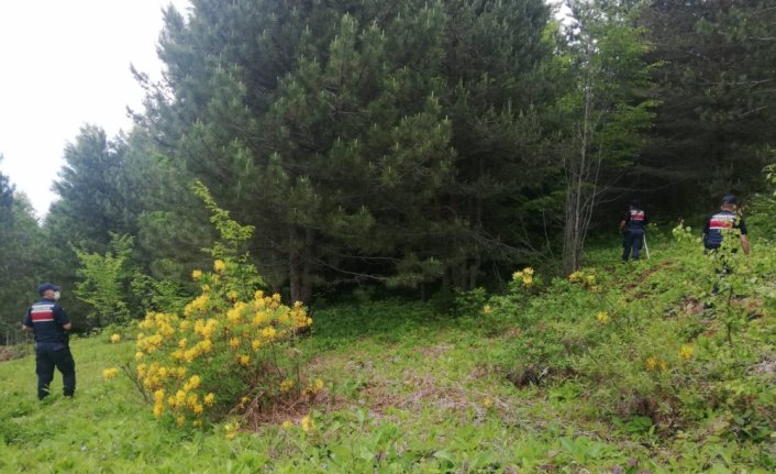 Kastamonu'da 2 hafta önce kaybolan kişiyi arama çalışmaları sürüyor