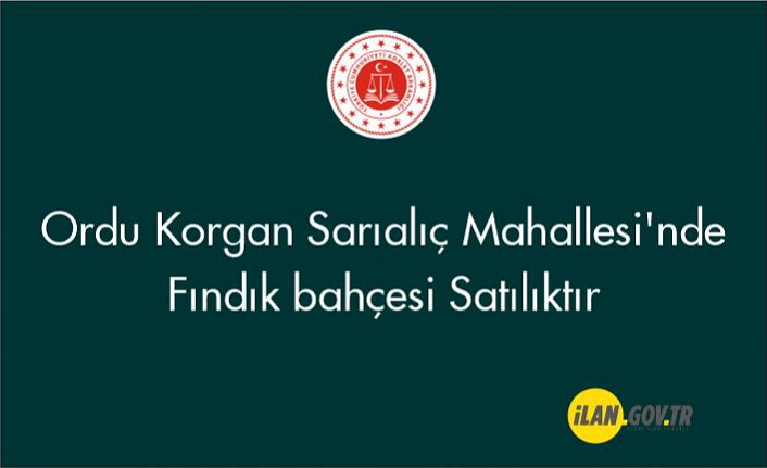 Korgan Sarıalıç Mahallesi'nde fındık bahçesi Satılık