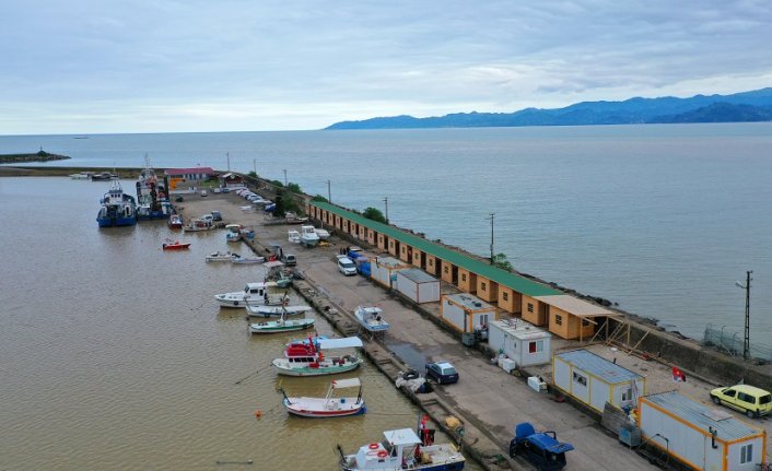 Ordu'da Fatsa Balıkçı Barınağı modern görünüme kavuşacak