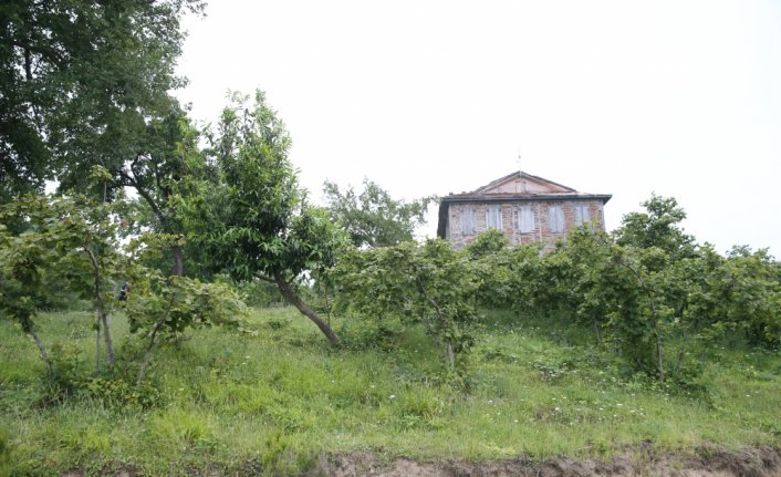 Ordu'da haber alınamayan kişi silahla vurulmuş halde ölü bulundu