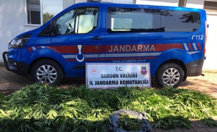 Samsun'da uyuşturucu operasyonlarında 15 şüpheli yakalandı
