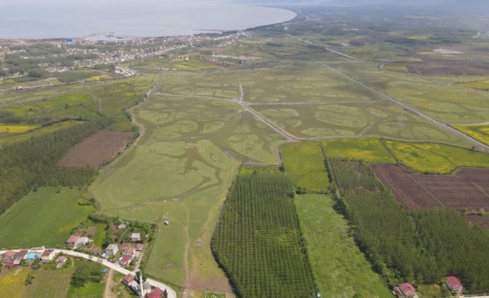 Terme'de Tarıma Dayalı İhtisas OSB için çalışmalar sürüyor