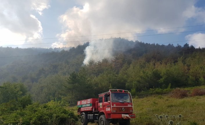 Bafra'da çıkan orman yangına müdahale ediliyor