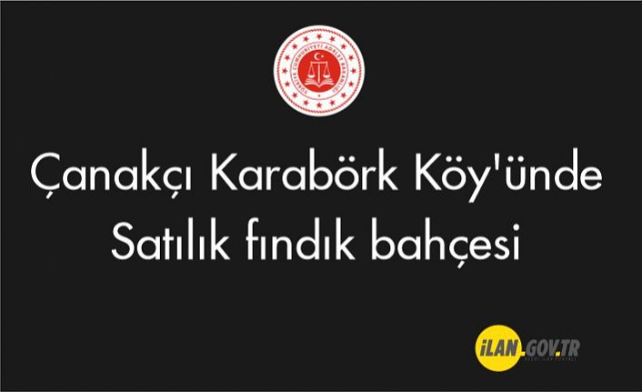 Çanakçı Karabörk Köy'ünde fındık bahçesi Satılık