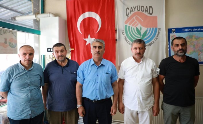 Çay üreticisi ikinci sürgünde dekara 700 kilo kota bekliyor