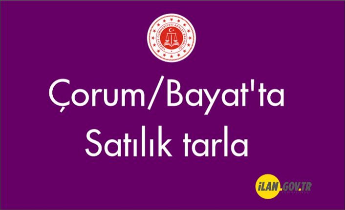 Çorum Bayat'ta Satılık tarla