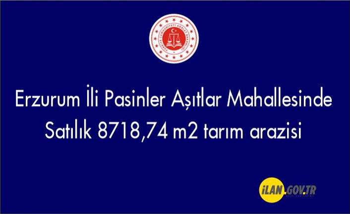 Erzurum İli Pasinler Aşıtlar Mahallesinde 8718,74 m² tarım arazisi Satılık