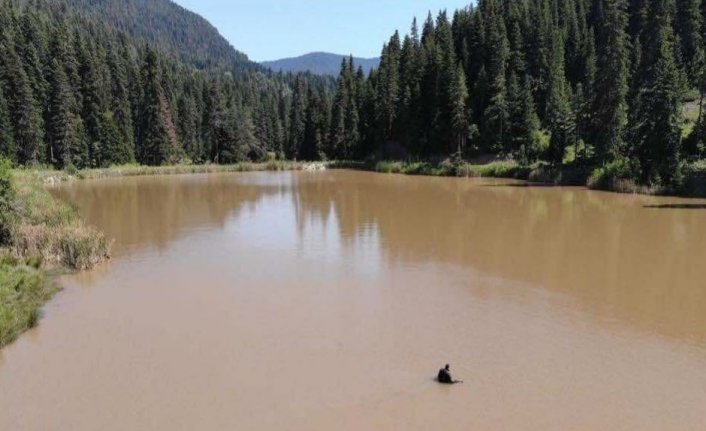 Karabük'te ormanlık alanda kaybolan down sendromlu genç kızı arama çalışmaları 9 gündür devam ediyor