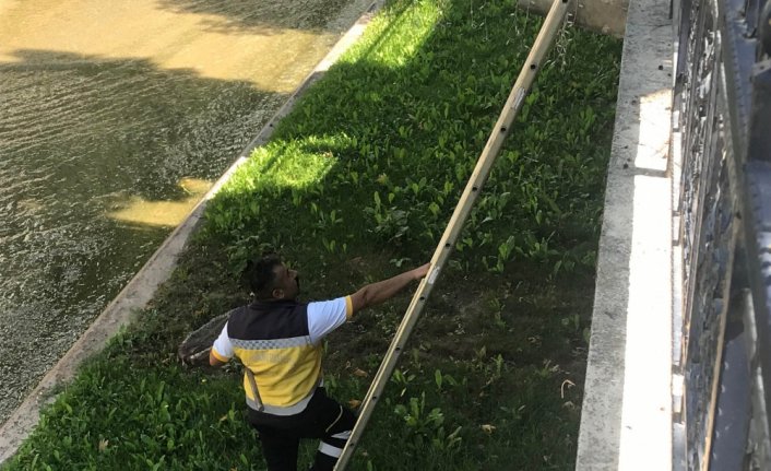 Kastamonu'da dereye düşüp sakatlanan kediyi ekipler kurtardı