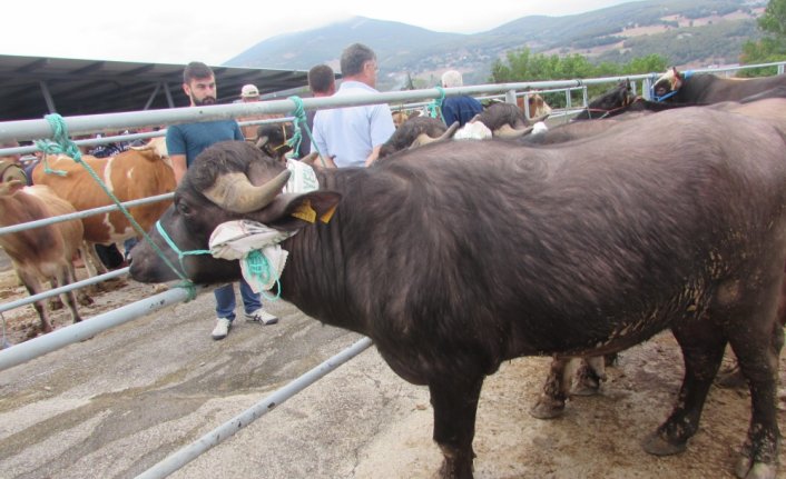 Kavak'ta jandarmadan sahte para ve dolandırıcılık uyarısı