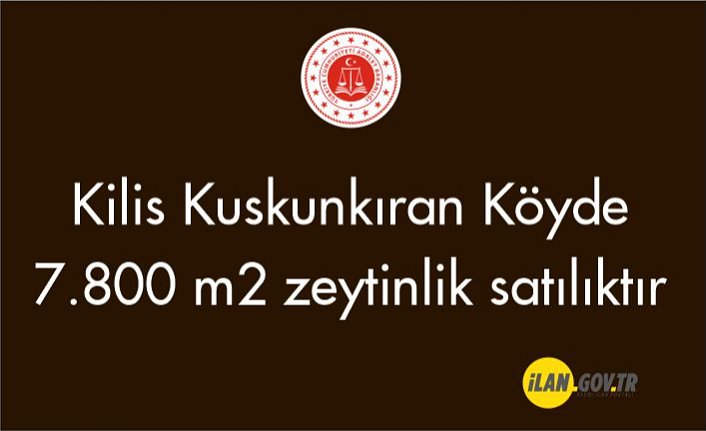 Kilis Kuskunkıran Köyde 7.800 m2 zeytinlik satılıktır