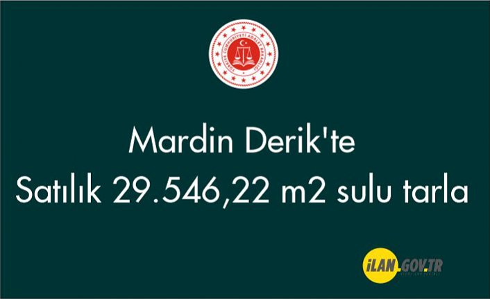 Mardin Derik'te 29.546,22 m² sulu tarla Satılık