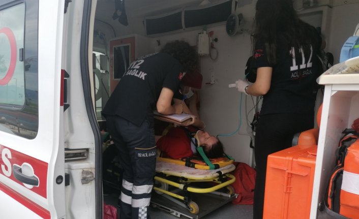 Ordu'da kamyonetin çarptığı kişi yaralandı