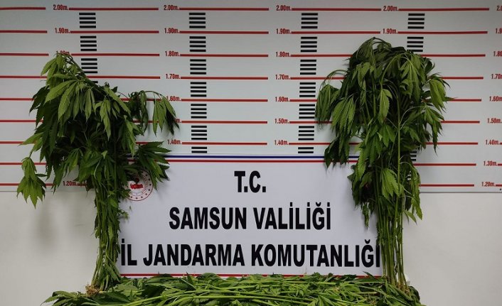 Samsun'da uyuşturucu operasyonlarında 16 şüpheli yakalandı
