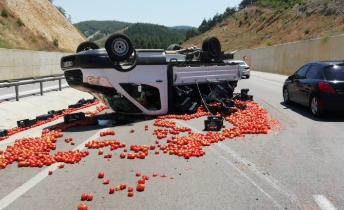 Tokat'ta devrilen kamyonetten yola dökülen domatesleri trafik polisleri topladı