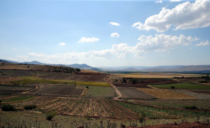 Tokat'ta kurak ve verimsiz alanlar 