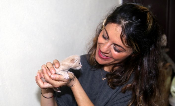 Yavruları ölen kedi, annelerini kaybeden yavrulara kucak açtı