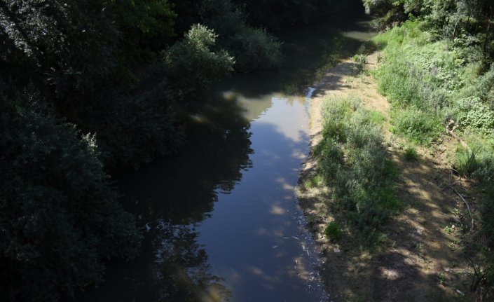 Bartın Irmağı'nda görülen toplu balık ölümleri nedeniyle inceleme başlatıldı