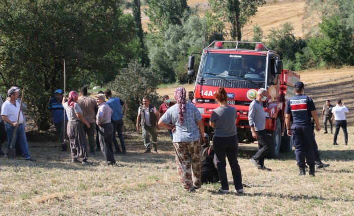 Bolu'da anız yangını ormana sıçramadan söndürüldü