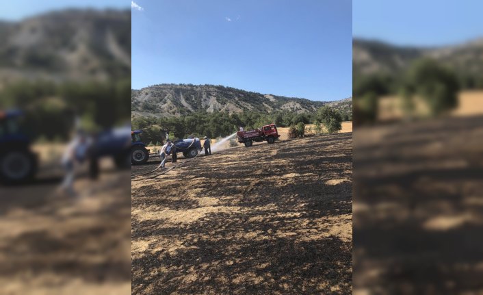 Bolu'da anız yangınında 15 dönüm alan zarar gördü