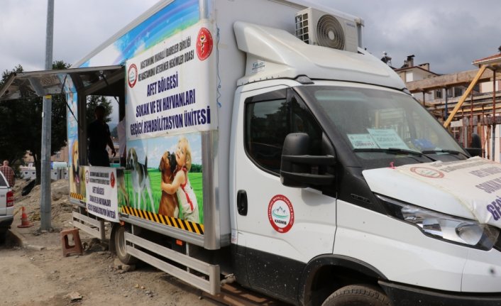 Bozkurt'ta selden etkilenen hayvanların bakımını 