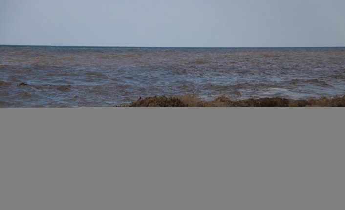 Bozkurt'taki sel nedeniyle Karadeniz'in rengi kahverengiye döndü