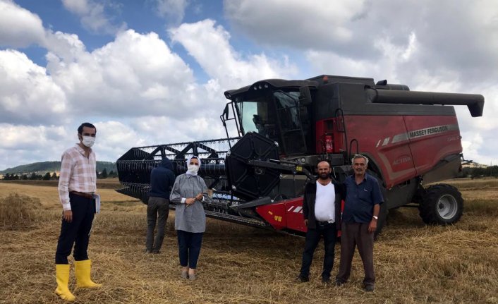 Eflani'de 50 bin dekar alanda hububat hasadı sürüyor