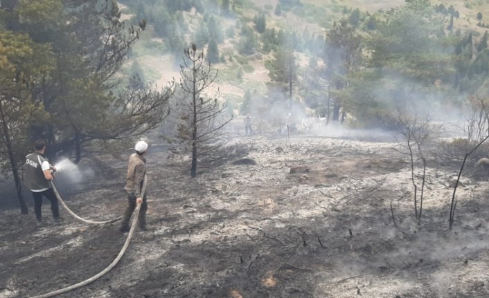 Giresun'da çıkan örtü yangını söndürüldü