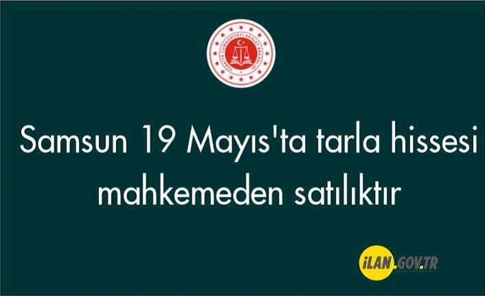 Samsun 19 Mayıs'ta tarla hissesi mahkemeden satılıktır