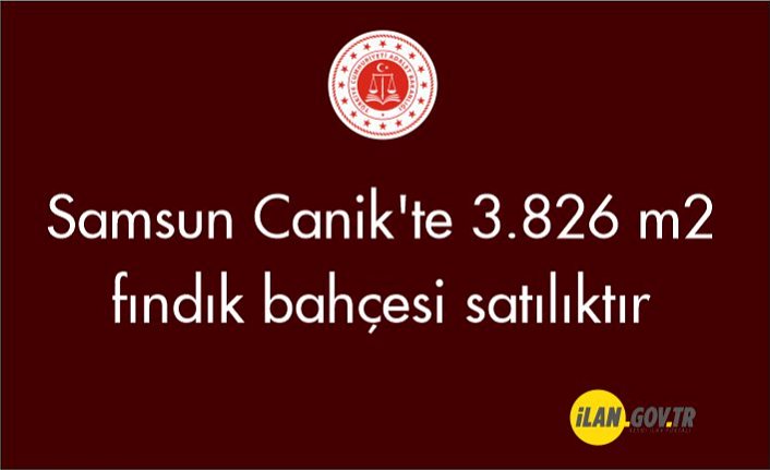 Samsun Canik'te 3.826 m2 fındık bahçesi satılıktır