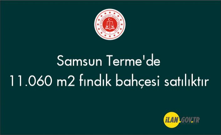 Samsun Terme'de 11.060 m2 fındık bahçesi satılıktır