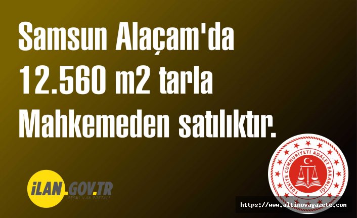 Samsun Alaçam'da 12.560 m2 tarla mahkemeden satılıktır