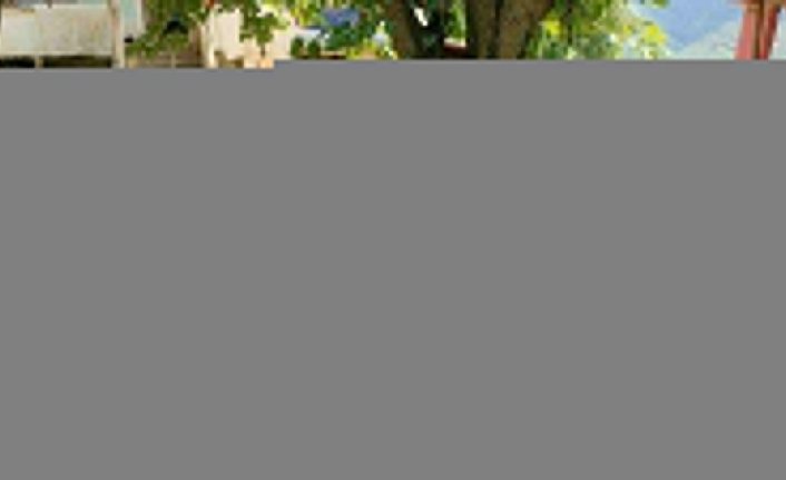 Samsun'da yaralı bulunan karaca milli parklar görevlilerine teslim edildi