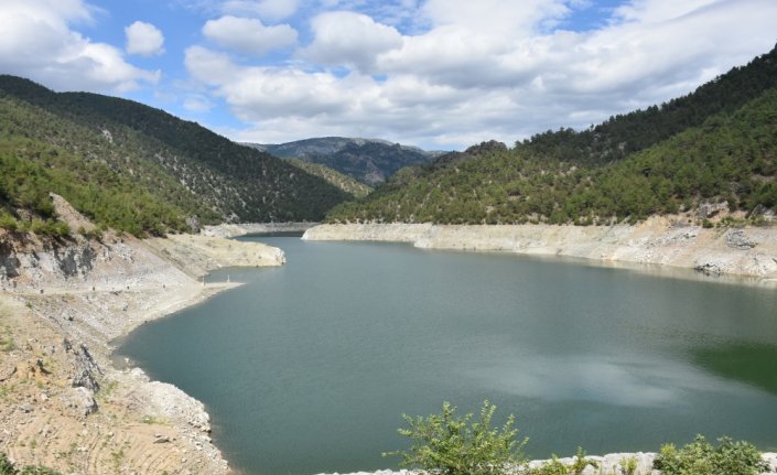 Sinop'ta baraj ve göletlere 100 bin sazan yavrusu bırakıldı