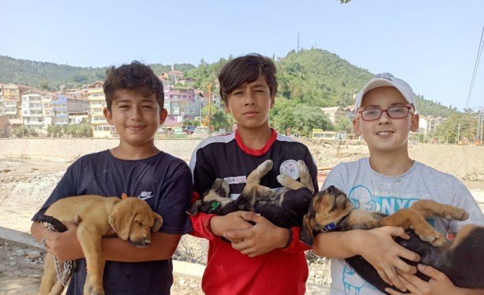 Sinop'ta selde anneleri kaybolan köpek yavrularına çocuklar sahip çıktı