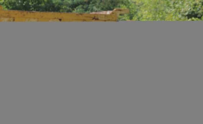 Sinop'ta selden 20 köpeği kurtarmanın mutluluğunu yaşıyor