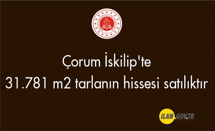 Çorum İskilip'te 31.781 m² tarlanın hissesi icradan satılıktır