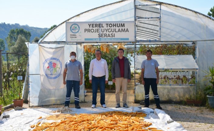 Ereğli'de 14 çeşit yerel tohum üretildi