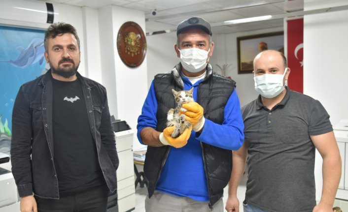 Havalandırma boşluğunda mahsur kalan kedi yavrusu kurtarıldı
