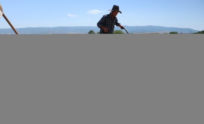 Kastamonu'daki Pompeiopolis Antik Kenti ziyarete açılmaya hazırlanıyor