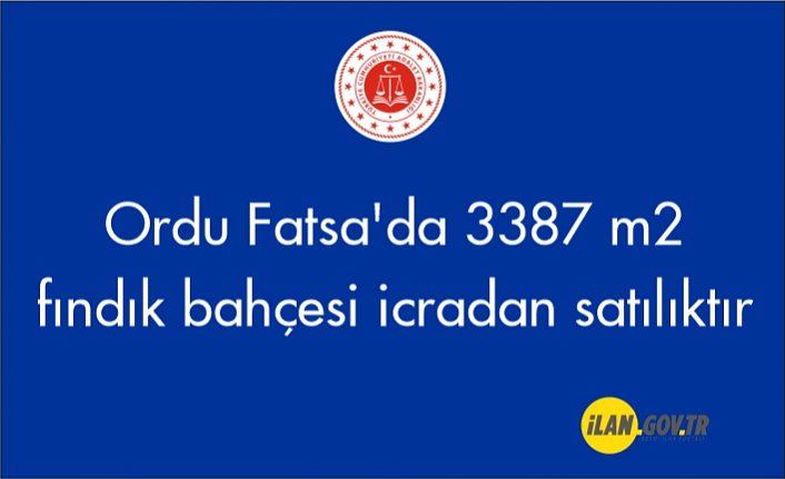 Ordu Fatsa'da 3387 m² fındık bahçesi icradan satılıktır
