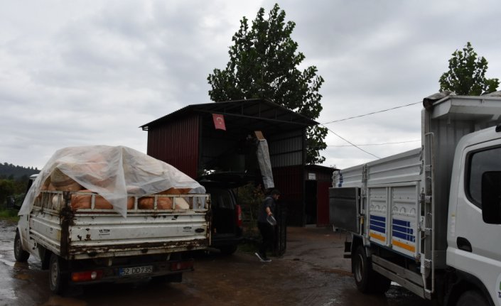 Ordu'da kurulan fındık kurutma üniteleri üreticilerin işini kolaylaştırdı