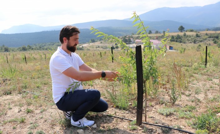 Salgın dönemini fırsata çeviren bilgisayar mühendisi tarıma yöneldi