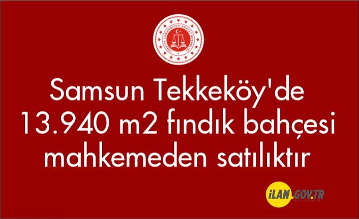 Samsun Tekkeköy'de 13.940 m2 fındık bahçesi mahkemeden satılıktır