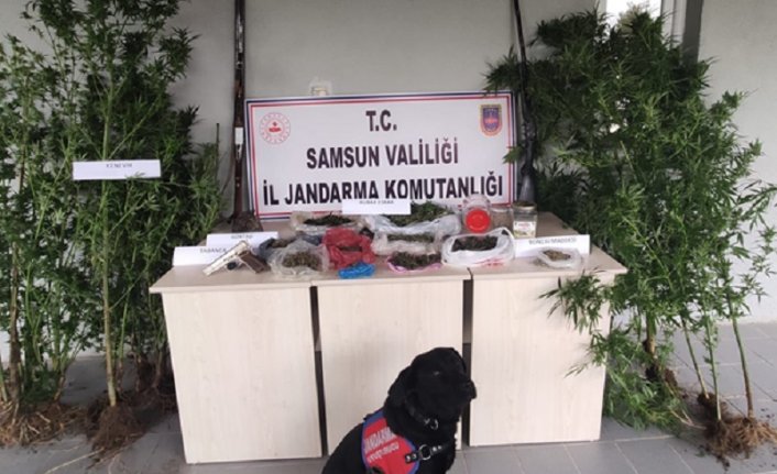 Samsun'da uyuşturucu operasyonlarında 17 şüpheli yakalandı