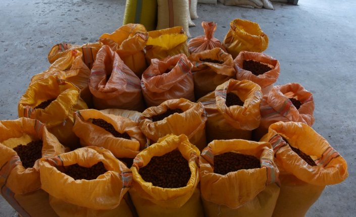 TMO Genel Müdürü Güldal: 