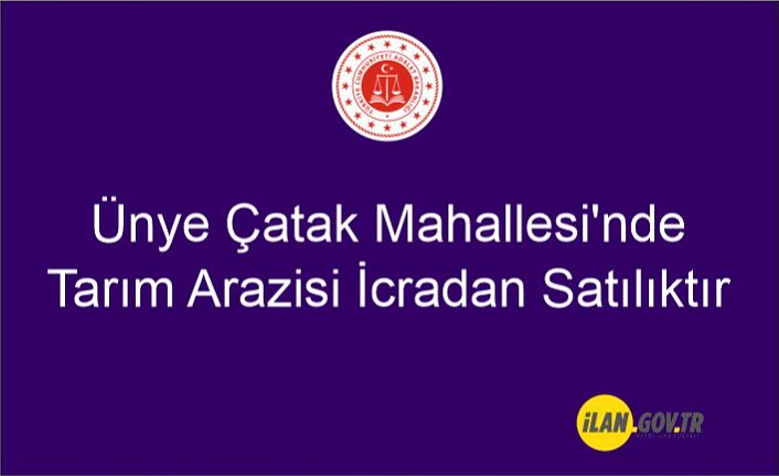 Ünye Çatak Mahallesi'nde tarım arazisi icradan satılıktır