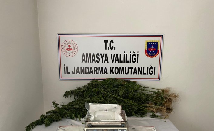 Amasya'da uyuşturucu operasyonunda bir kişi tutuklandı