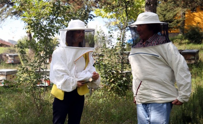 Emekli öğretmen profesyonel arıcı olmak için 60'ında üniversiteyi kazandı